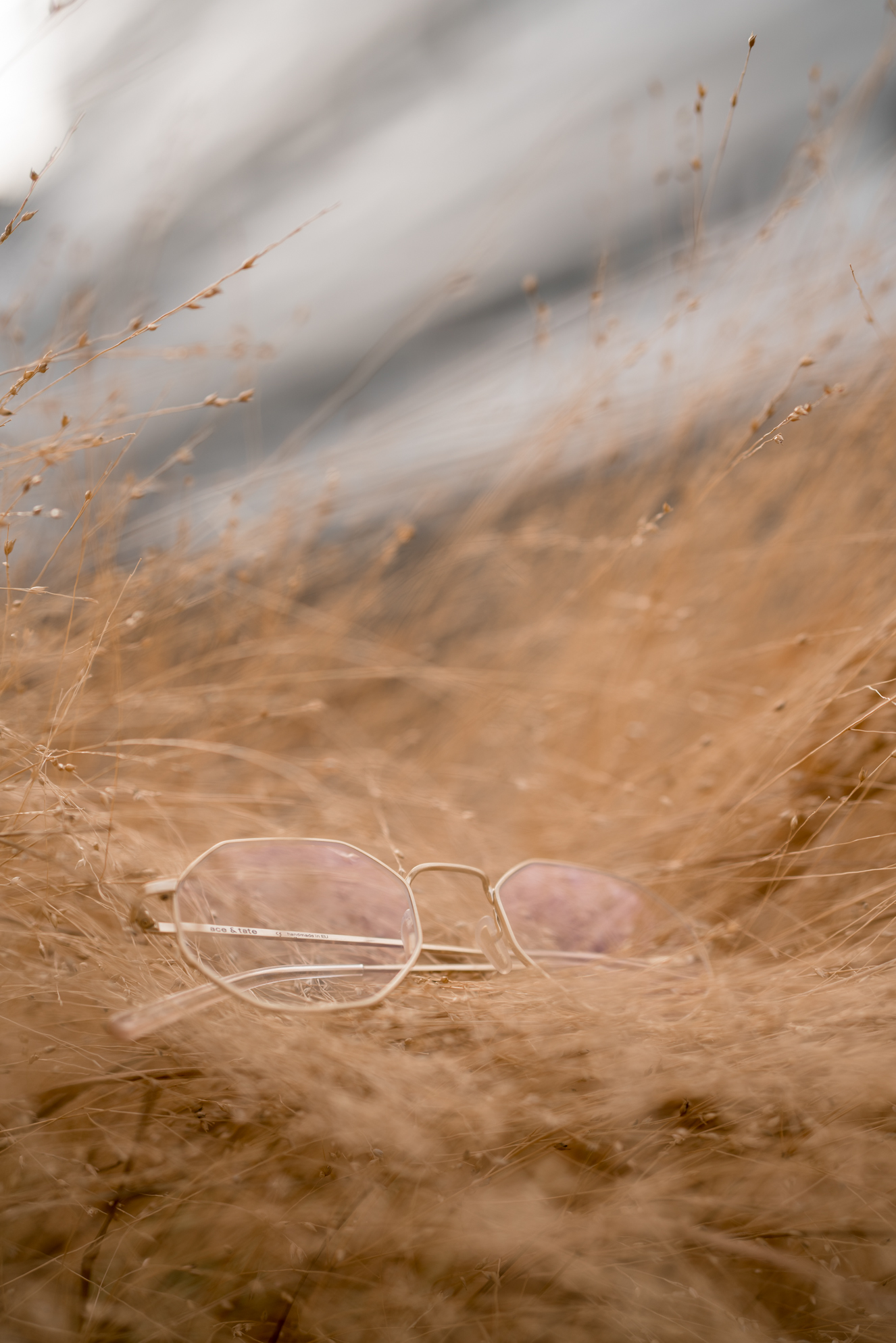 Elton Satin Gold-Ace and Tate Heidelberg-Ace Tate Brillen-Brillentrends-Brillenmode-Modeblog Heidelberg-Modeblog Mannheim-Modeblog Deutschland-fashion blog Germany-Sariety.com-Sarah Schaefer-Sarah Czok