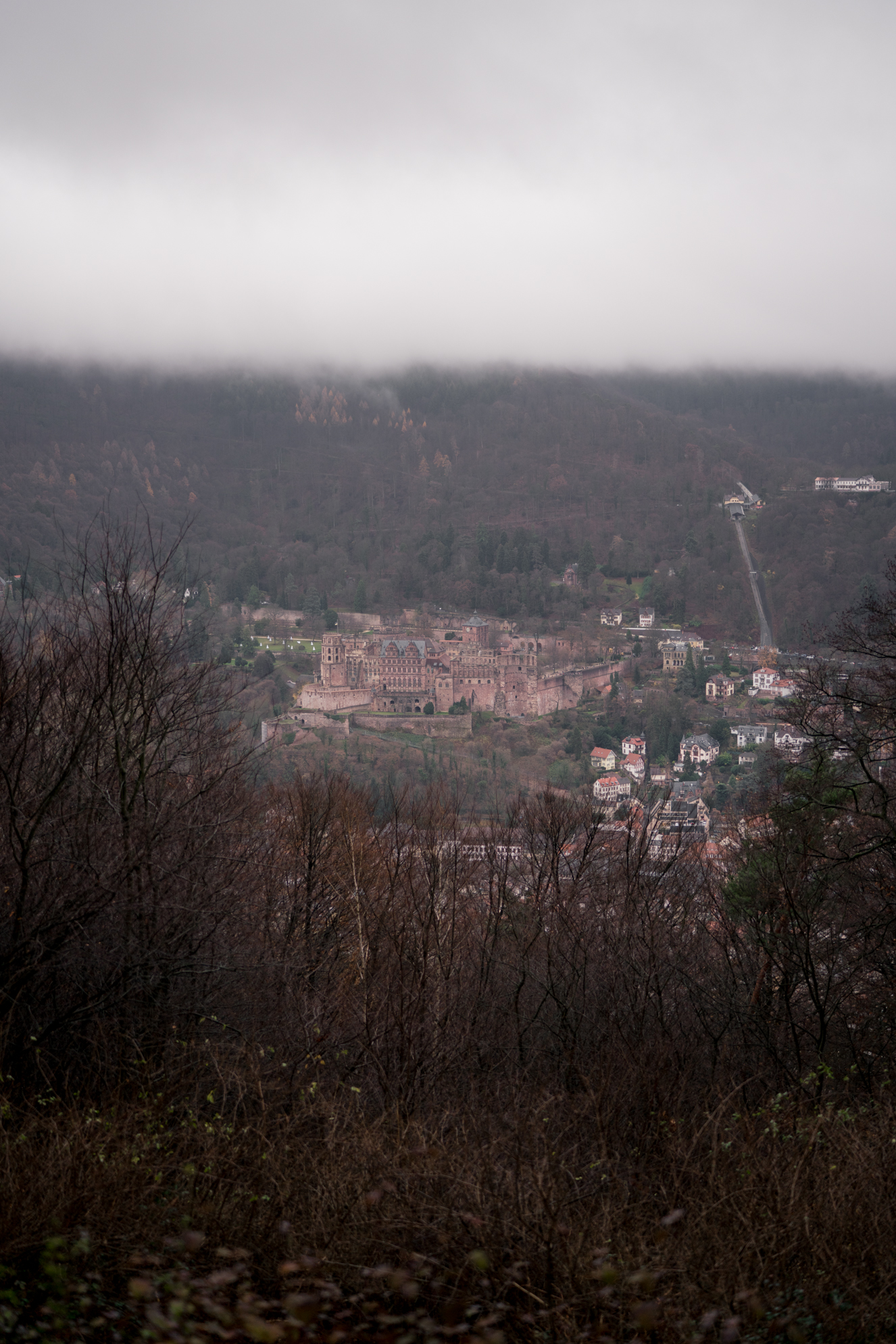 Lily Champagne-Ace and Tate Heidelberg-Ace Tate Brillen-Brillentrends-Brillenmode-Modeblog Heidelberg-Modeblog Mannheim-Modeblog Deutschland-fashion blog Germany-Sariety.com-Sarah Schaefer-Sarah Czok