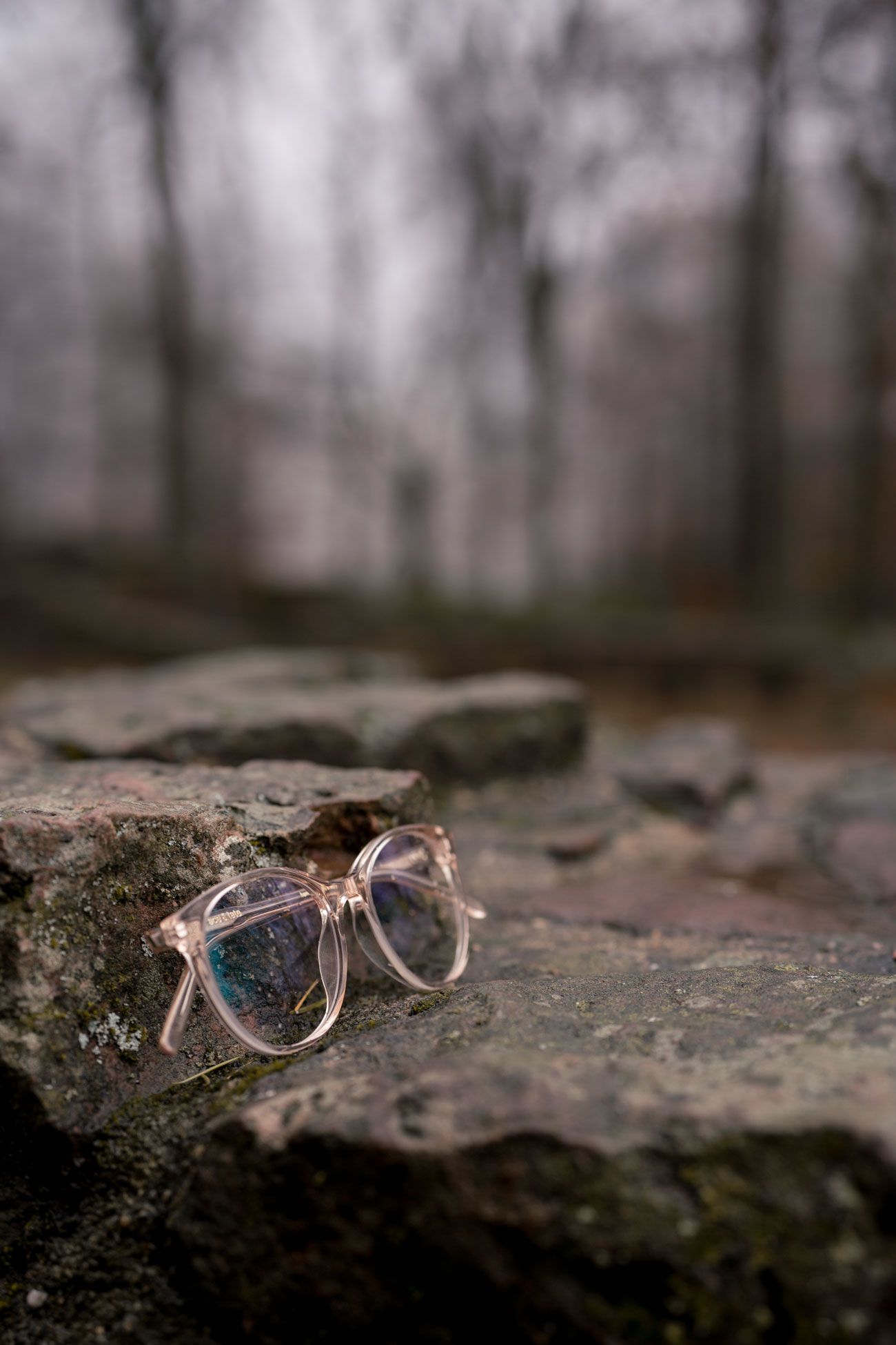 Lily Champagne-Ace and Tate Heidelberg-Ace Tate Brillen-Brillentrends-Brillenmode-Modeblog Heidelberg-Modeblog Mannheim-Modeblog Deutschland-fashion blog Germany-Sariety.com-Sarah Schaefer-Sarah Czok