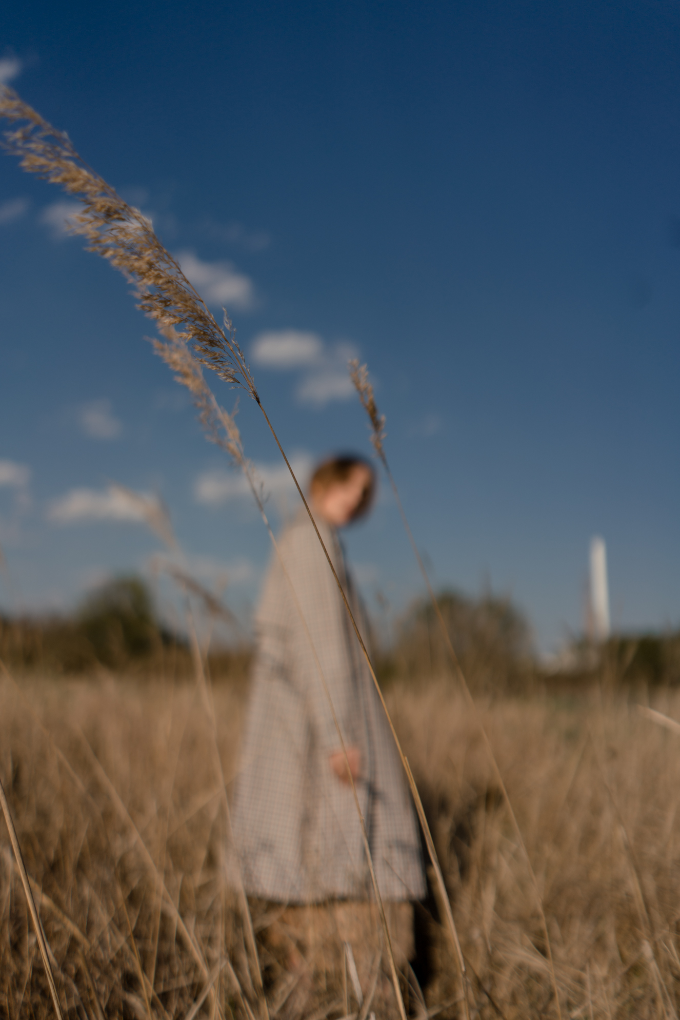 Fashion Editorial-Chloé Nomade-Field Shoot-Selected Femme Trenchcoat-Summer Dress-Nudes Look-Beiges Outfit-Modeblog Deutschland-fashion blog Germany-Sariety.com-Sarah Czok-Sarah Schaefer-Fashionblog München-Modeblog München