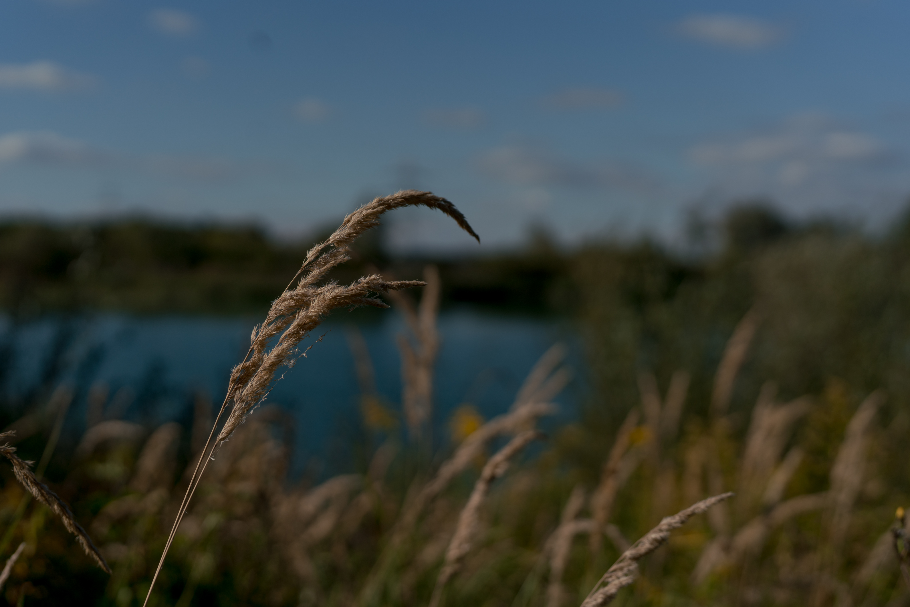 Editorial Shoot-Chloé L’eau-Chloé Signature-Chloé Scent-Chloé EdP-Chloé Parfum-Sariety-Modeblog Deutschland-fashion blog Germany-Sariety.com-Sarah Czok-Sarah Schaefer-Modeblog München-Fashionblog München