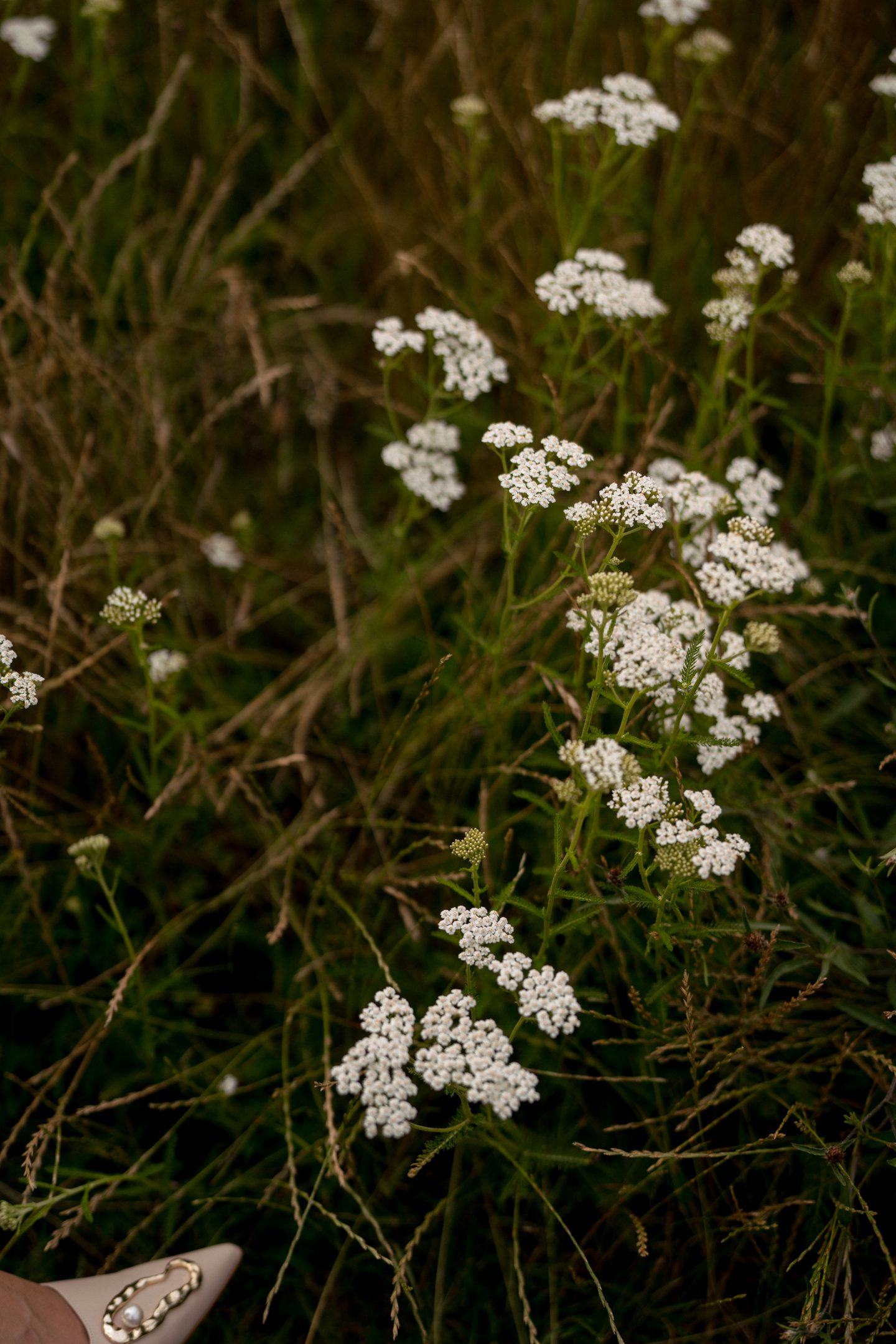 Light Summer Breeze-Nobi Talai-Nobi Talai Look-Berlin Fashion Week-Flattered Shoes-All White Look Summer-Sariety-Modeblog Deutschland-fashion blog Germany-Sariety.com-Sarah Czok-Sarah Schaefer-Fashionblog München-Modeblog München