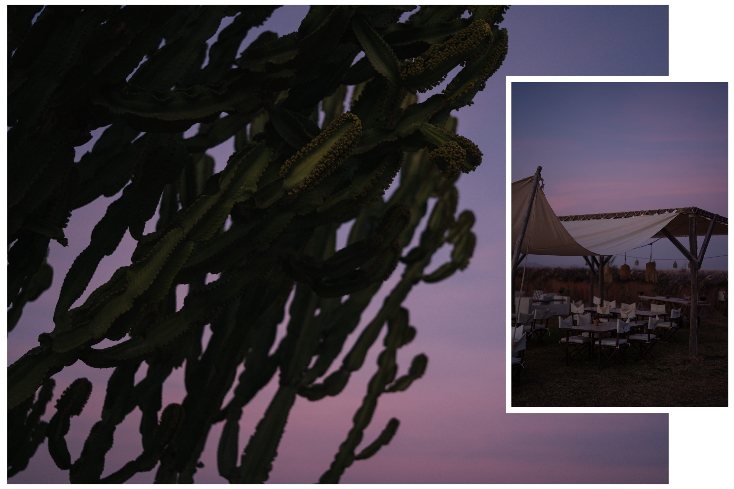 windsor. Spring Summer 2020-windsor. SS 2020-Marrakech Fashion Shoot-Marrakesch Shooting-Marokko Shooting-Morocco fashion shoot-Editorial Shooting-Lässige Mode-Schicke Mode-nordic style-scandi style-blogger style-Sariety.com-Modeblog München-Modeblog Deutschland-Styleblog Deutschland-Styleblog München-fashion blog Munich-Fashion blog Germany-fashion blog Heidelberg-Sommer Trends-Modetrends-Fashion trends-Mode Inspiration-Sariety.com-Sarah Czok-Sarah Schaefer