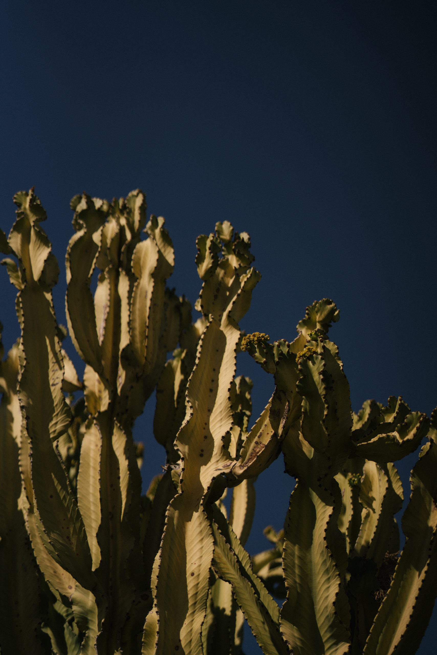 windsor. Spring Summer 2020-windsor. SS 2020-Marrakech Fashion Shoot-Marrakesch Shooting-Marokko Shooting-Morocco fashion shoot-Editorial Shooting-Lässige Mode-Schicke Mode-nordic style-scandi style-blogger style-Sariety.com-Modeblog München-Modeblog Deutschland-Styleblog Deutschland-Styleblog München-fashion blog Munich-Fashion blog Germany-fashion blog Heidelberg-Sommer Trends-Modetrends-Fashion trends-Mode Inspiration-Sariety.com-Sarah Czok-Sarah Schaefer