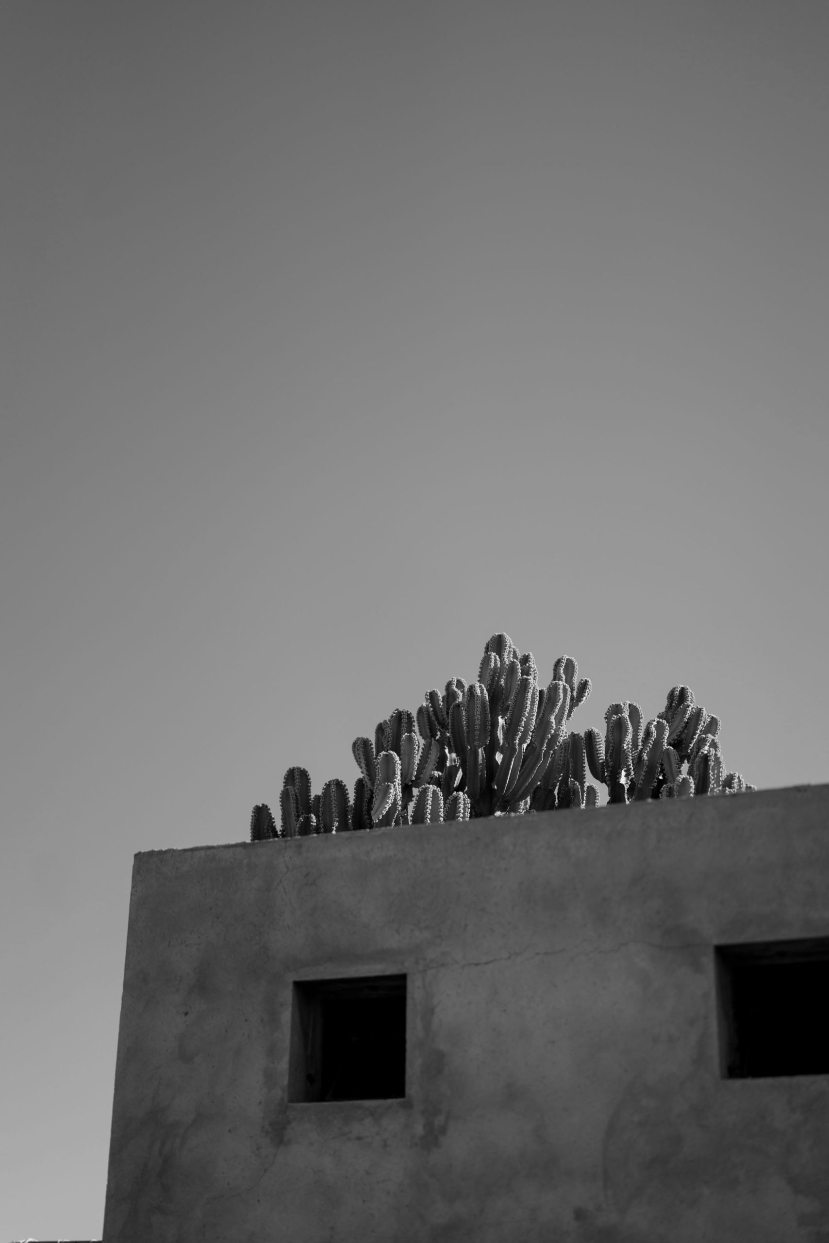 windsor. Spring Summer 2020-windsor. SS 2020-Marrakech Fashion Shoot-Marrakesch Shooting-Marokko Shooting-Morocco fashion shoot-Editorial Shooting-Lässige Mode-Schicke Mode-nordic style-scandi style-blogger style-Sariety.com-Modeblog München-Modeblog Deutschland-Styleblog Deutschland-Styleblog München-fashion blog Munich-Fashion blog Germany-fashion blog Heidelberg-Sommer Trends-Modetrends-Fashion trends-Mode Inspiration-Sariety.com-Sarah Czok-Sarah Schaefer